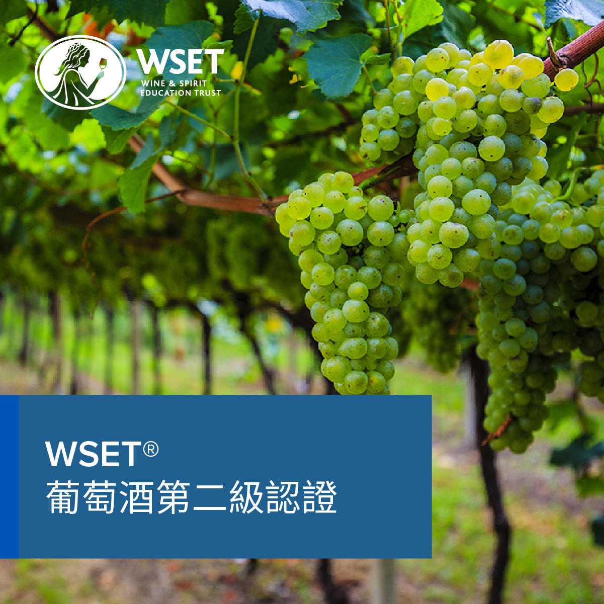 英国WSET®葡萄酒第二級認證认证课程